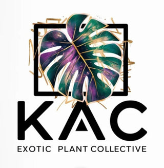 KAC Sticker
