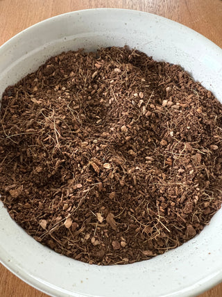 Seedling & Propagation Mix (Large Gallons Only to Start)